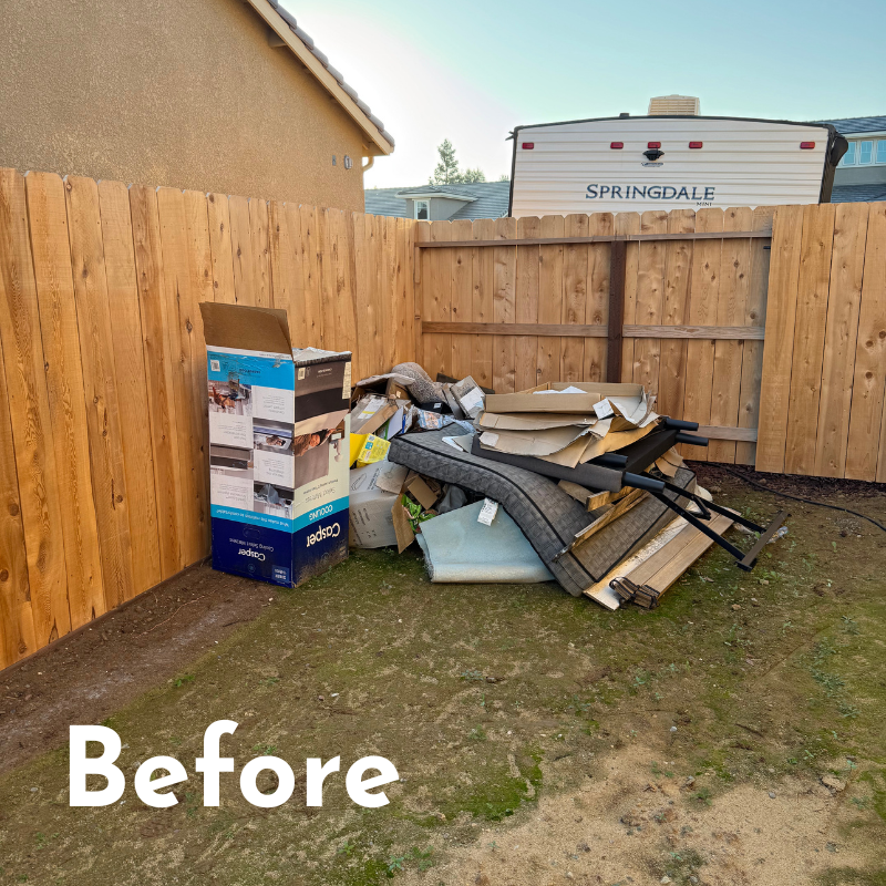 Before Yard Clean Up