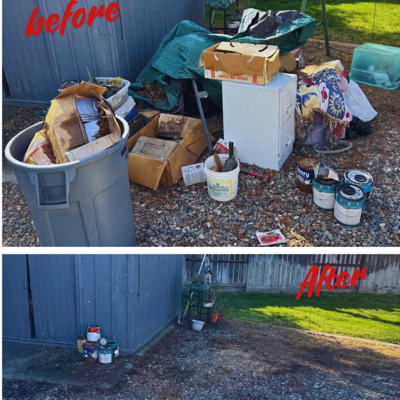 Before and After Shed Clean Up