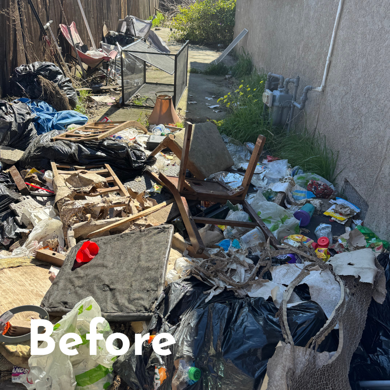 Before Side Yard Clean Up