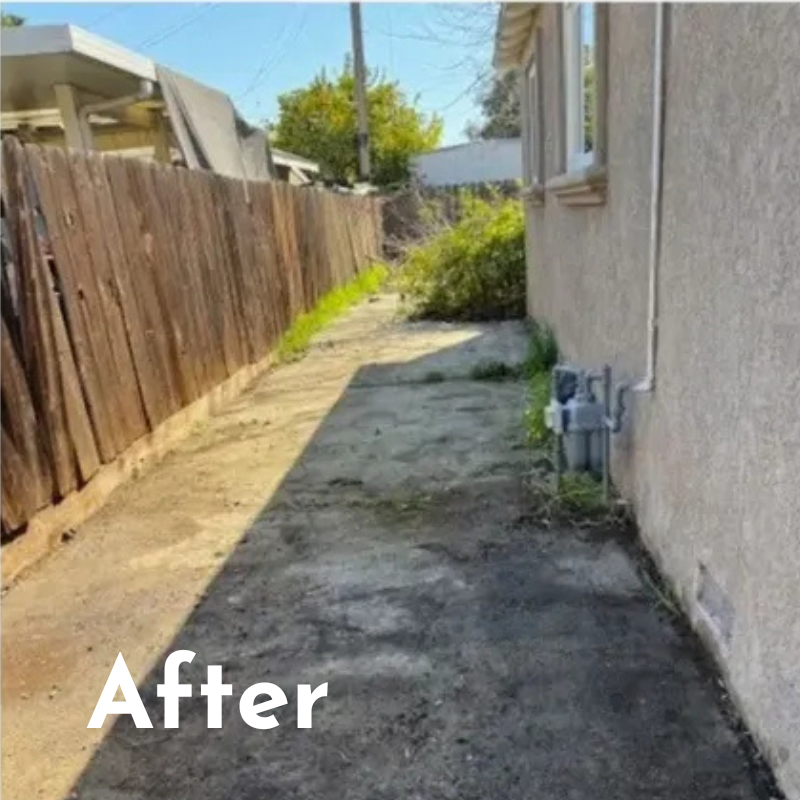 After Side Yard Clean Up